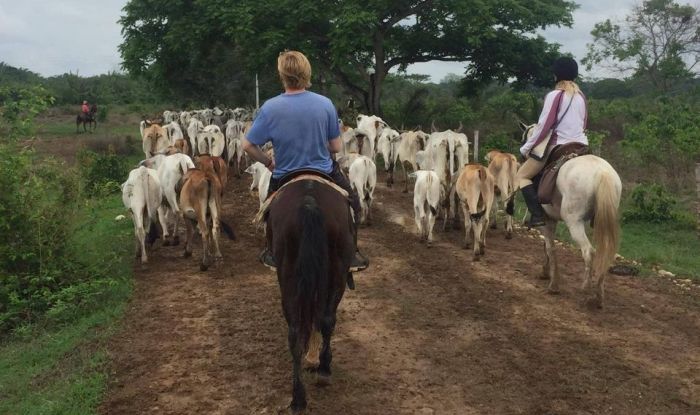 Orinoco Riding safari