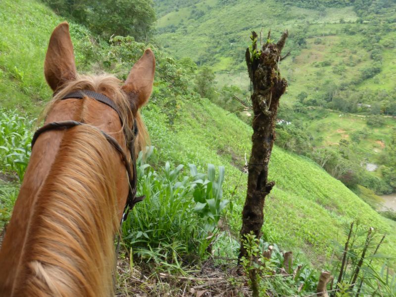 Adventure Ride Colombian Andes