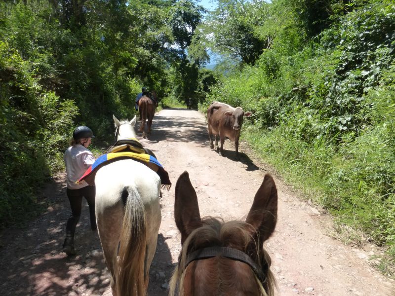 Adventure Ride Colombian Andes