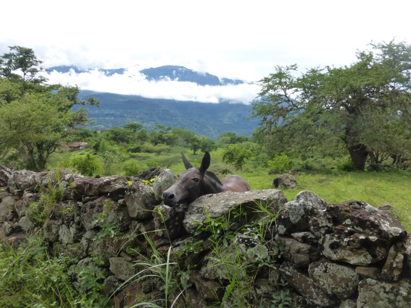 Adventure Ride Colombian Andes