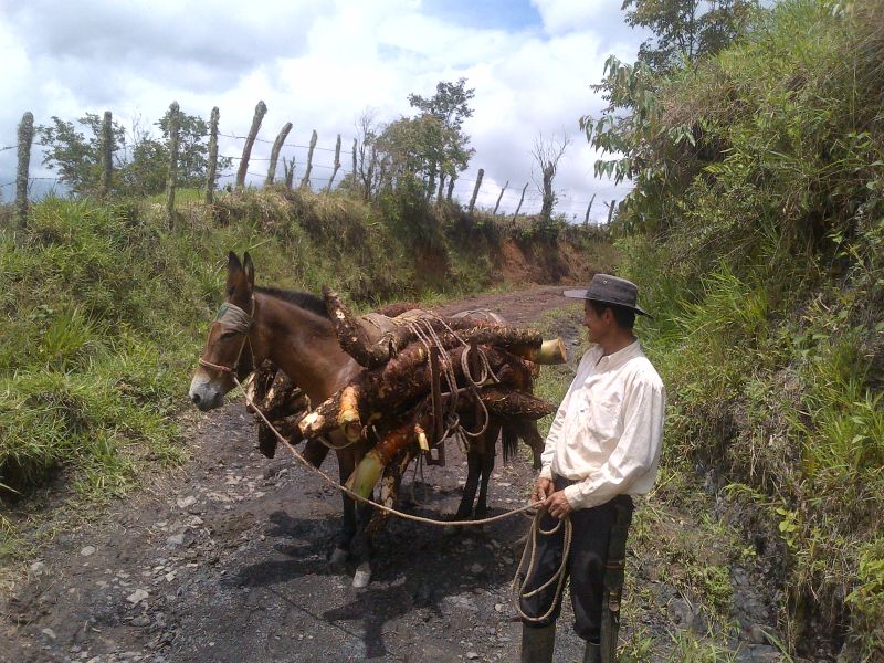 Adventure Ride Colombian Andes
