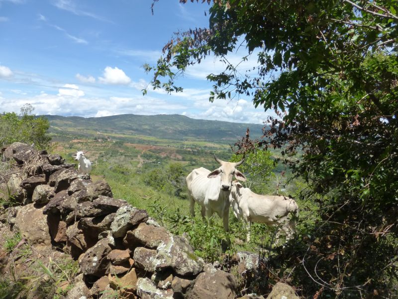 Adventure Ride Colombian Andes