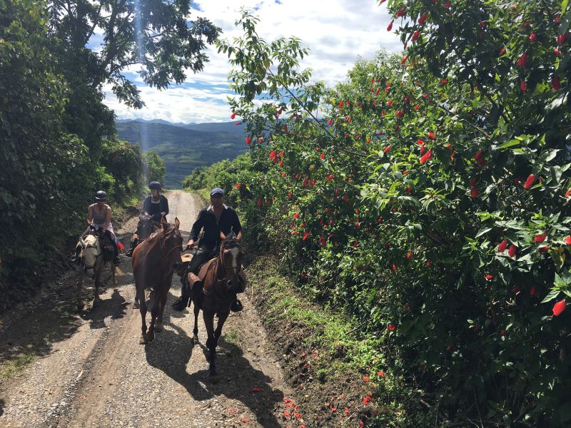 Adventure Ride Colombian Andes