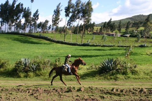 Colonial Haciendas Ride