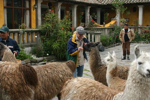 Colonial Haciendas Ride