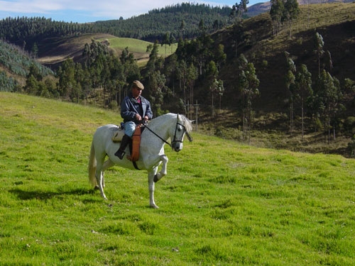 Colonial Haciendas Ride