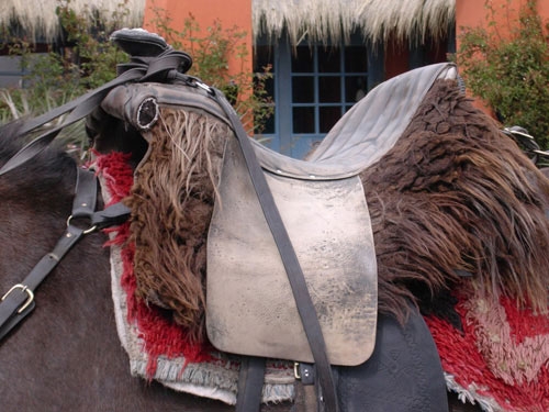 Colonial Haciendas Ride