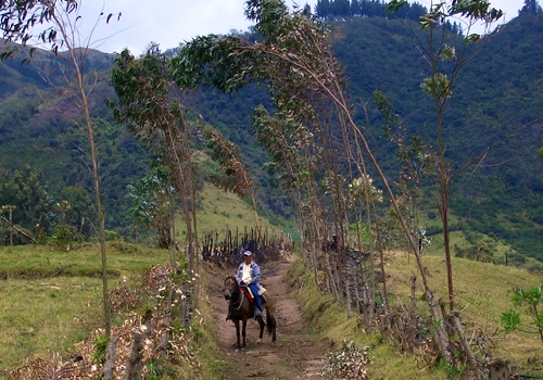 Otavalo Ride- Hacienda Cusin