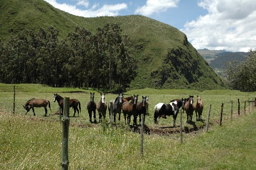 Andean mountain lodge with comfort