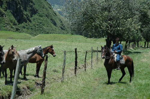 Andean mountain lodge with comfort