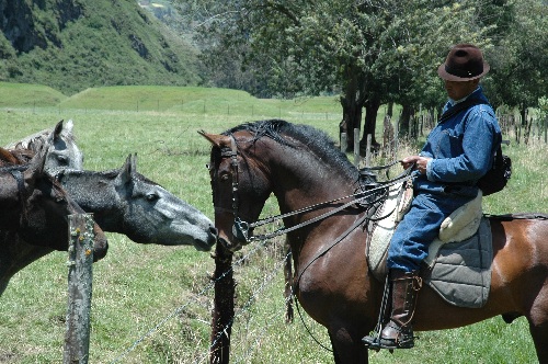 Andean mountain lodge with comfort