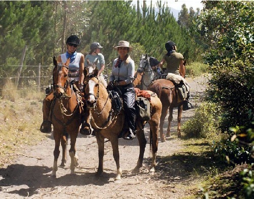 Andean mountain lodge with comfort