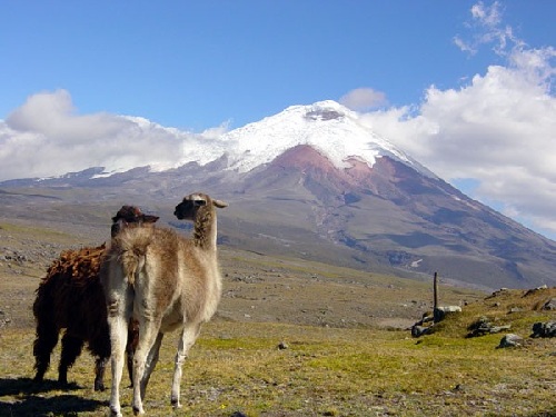 Andean mountain lodge with comfort