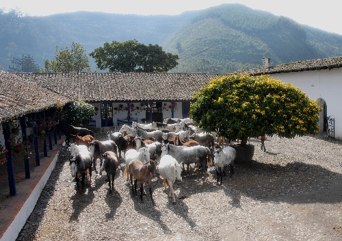 Andean mountain lodge with comfort