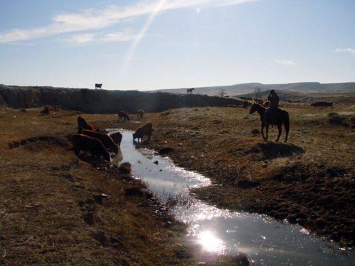 Two Creek Cattle Ranch