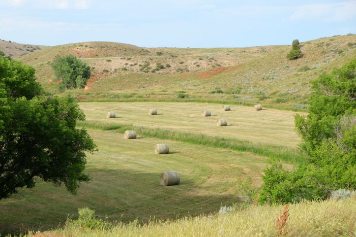 Two Creek Cattle Ranch