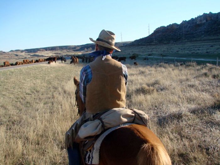 Two Creek Cattle Ranch