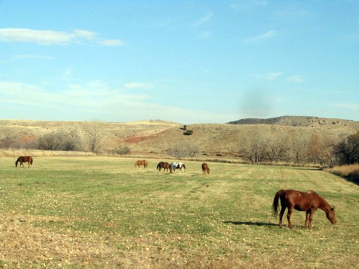 Two Creek Cattle Ranch