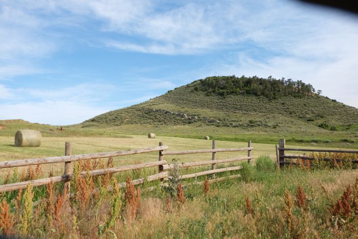 Two Creek Cattle Ranch