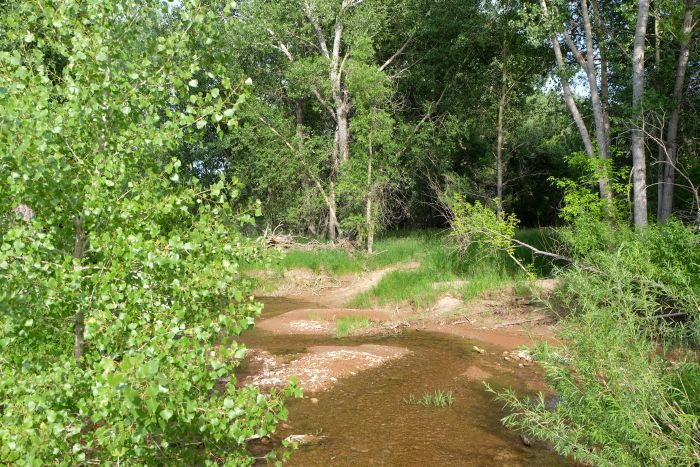 Two Creek Cattle Ranch