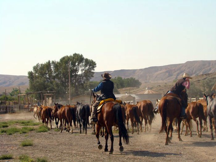 Dryhead Ranch Horse Drives
