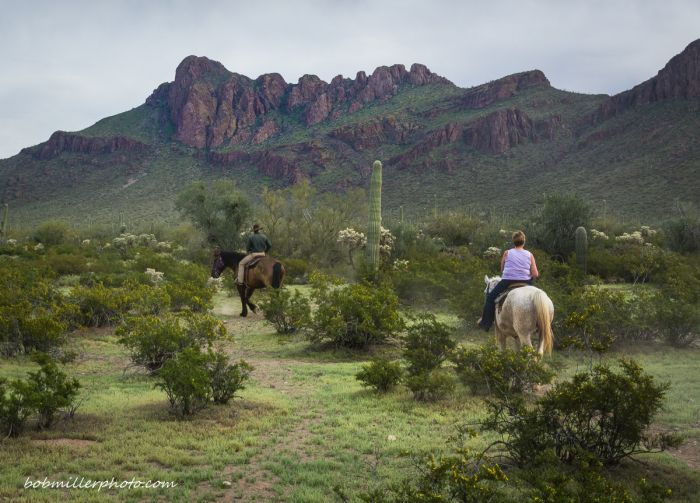 White Stallion Ranch