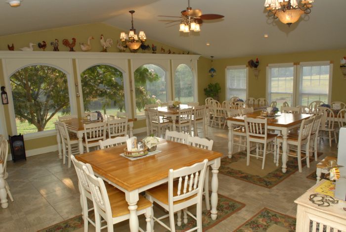 Southern Cross Heartland of Georgia Ranch Accomodation