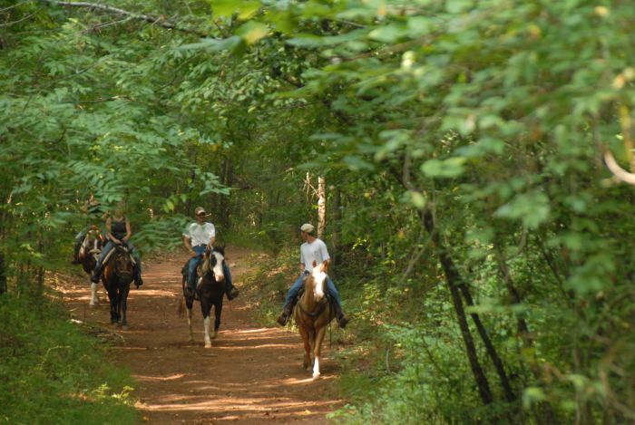 Southern Cross Heartland of Georgia Ranch