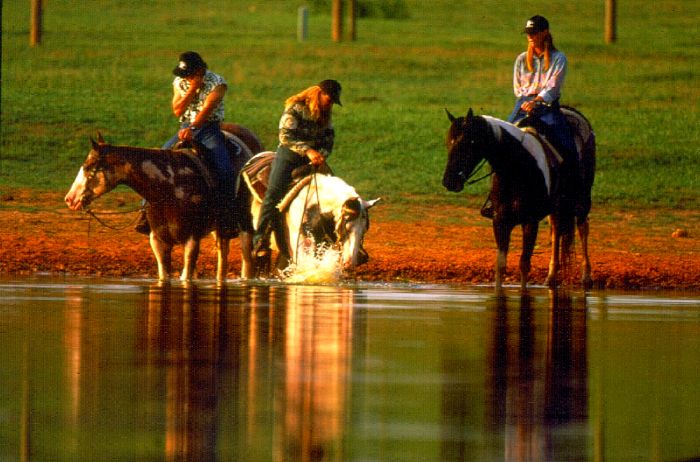 Southern Cross Heartland of Georgia Ranch