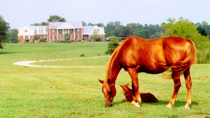 Southern Cross Heartland of Georgia Ranch