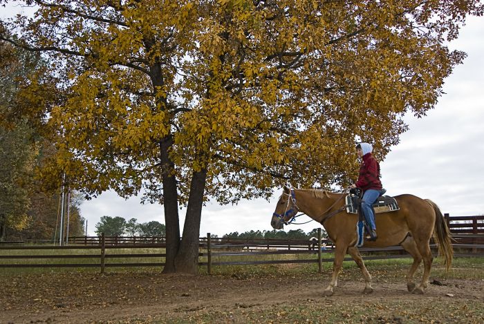 Southern Cross Heartland of Georgia Ranch