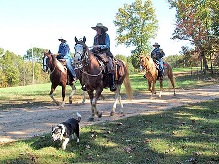 Missouri Fox Trotter Ride