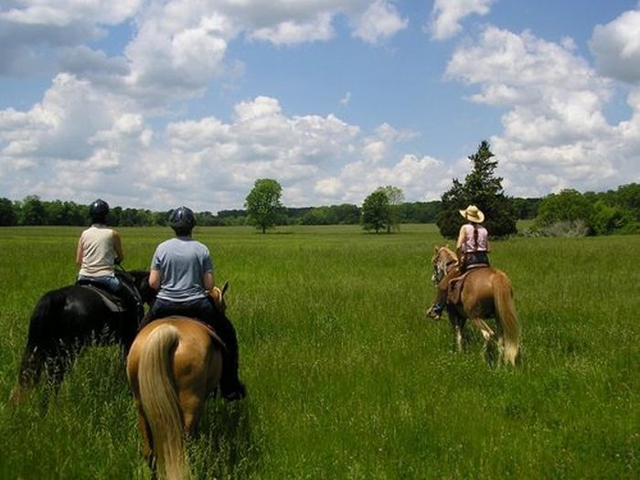 Missouri Fox Trotter Ride