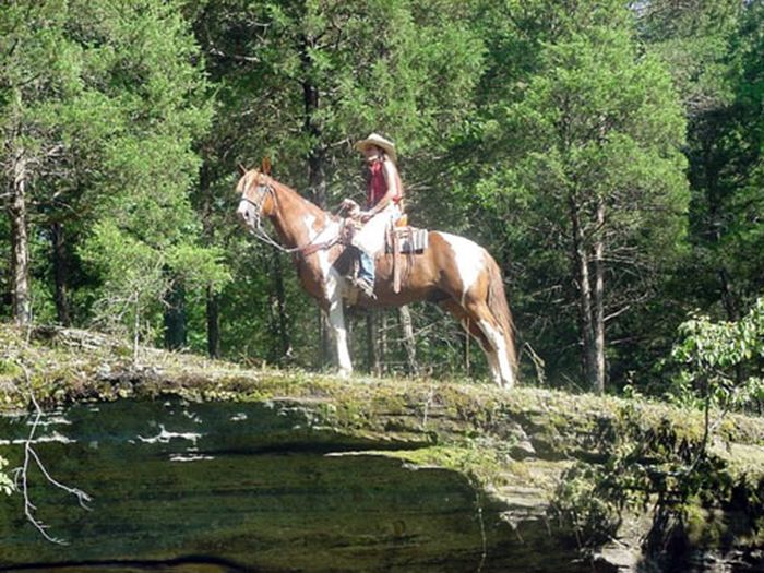 Missouri Fox Trotter Ride