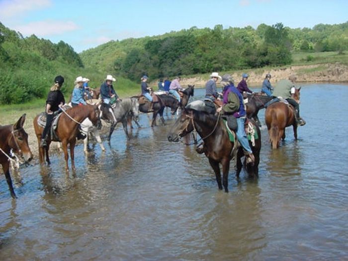 Missouri Fox Trotter Ride