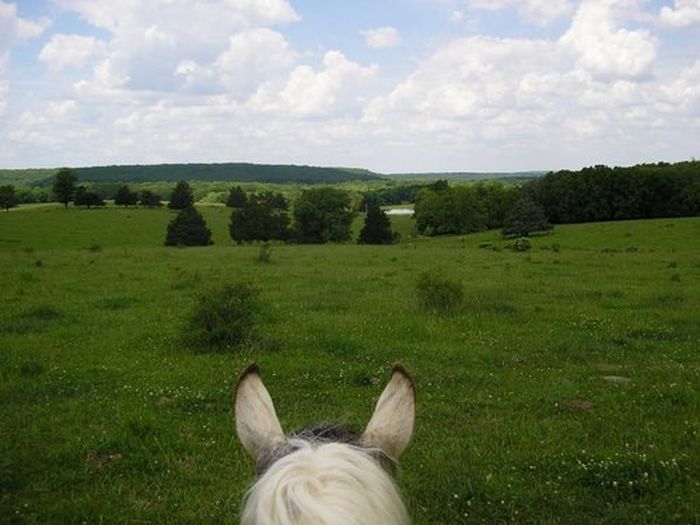 Missouri Fox Trotter Ride