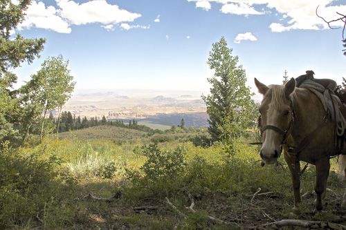 Utah Backcountry Lodge and Dixi Forest Ride