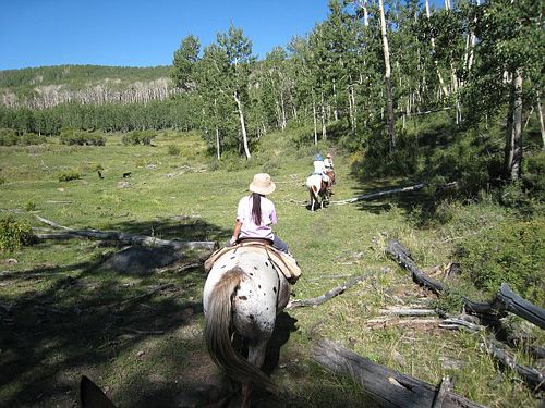 Utah Backcountry Lodge and Dixi Forest Ride