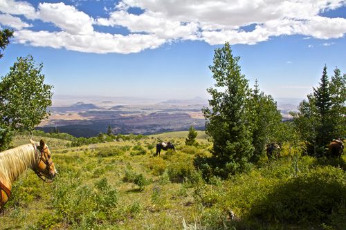 Utah Backcountry Lodge and Dixi Forest Ride