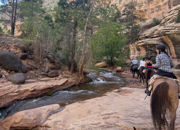 Utah Backcountry Lodge and Dixi Forest Ride