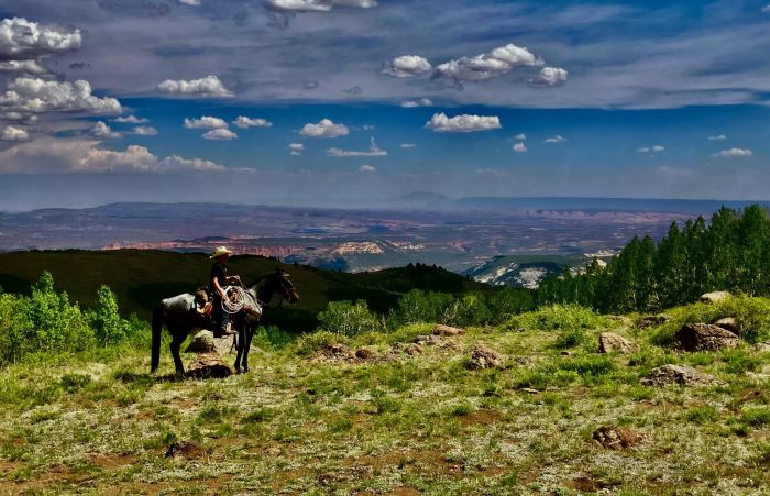 Utah Backcountry Lodge and Dixi Forest Ride