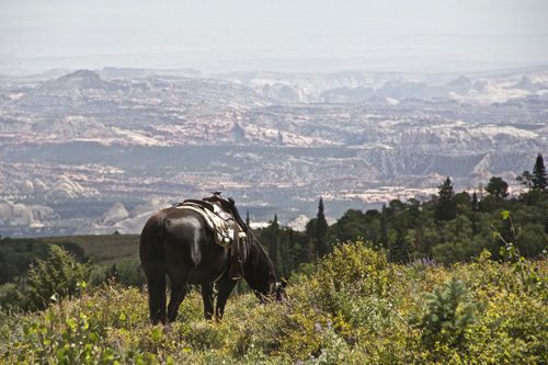 Utah Backcountry Lodge and Dixi Forest Ride