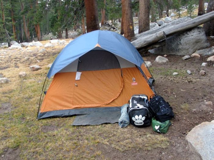 High Sierra's Packhorse Tours Accomodation
