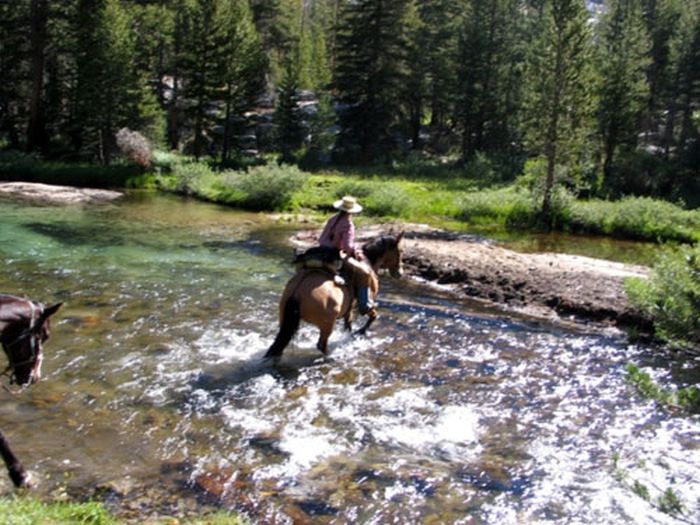 High Sierra's Packhorse Tours