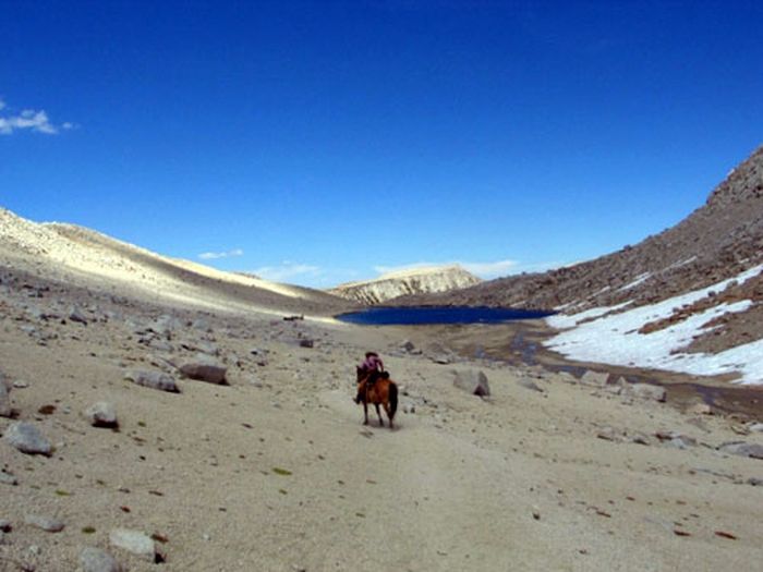 High Sierra's Packhorse Tours