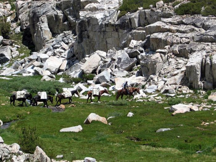 High Sierra's Packhorse Tours