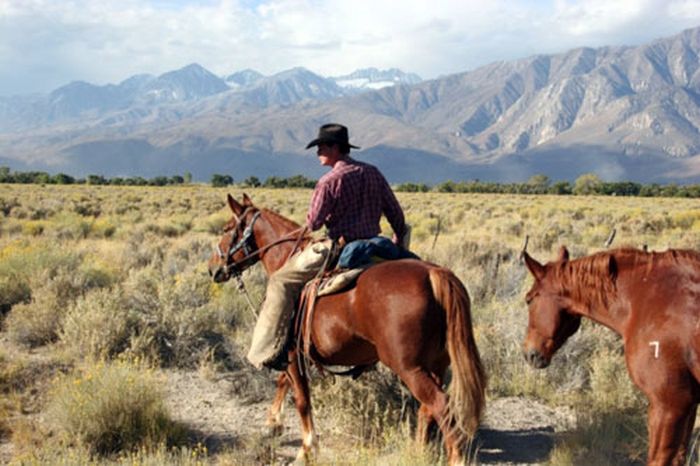 High Sierra's Packhorse Tours
