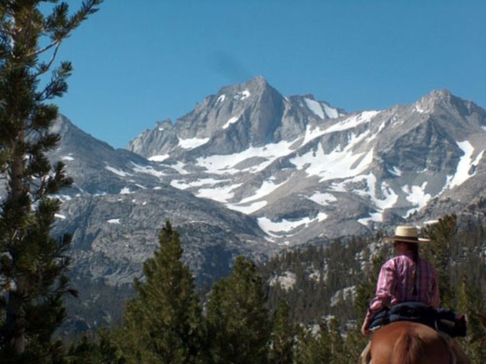 High Sierra's Packhorse Tours