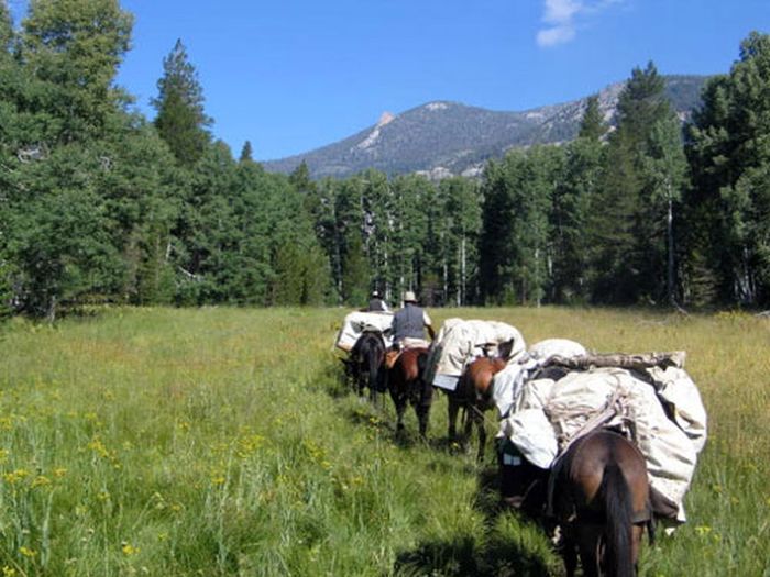 High Sierra's Packhorse Tours