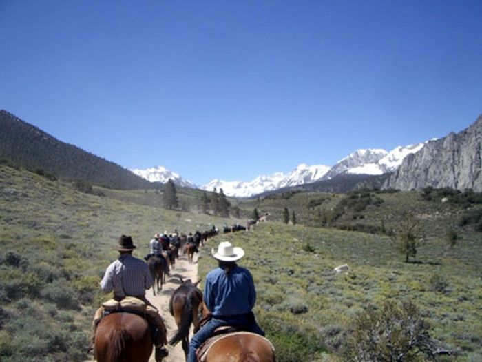High Sierra's Packhorse Tours